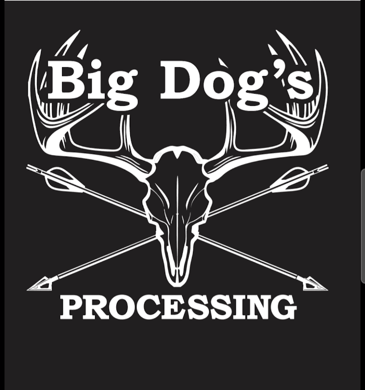 Big Dog's Processing