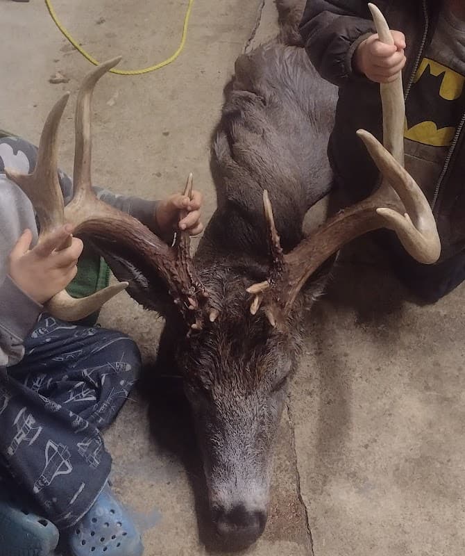 Busy B Deer Processing