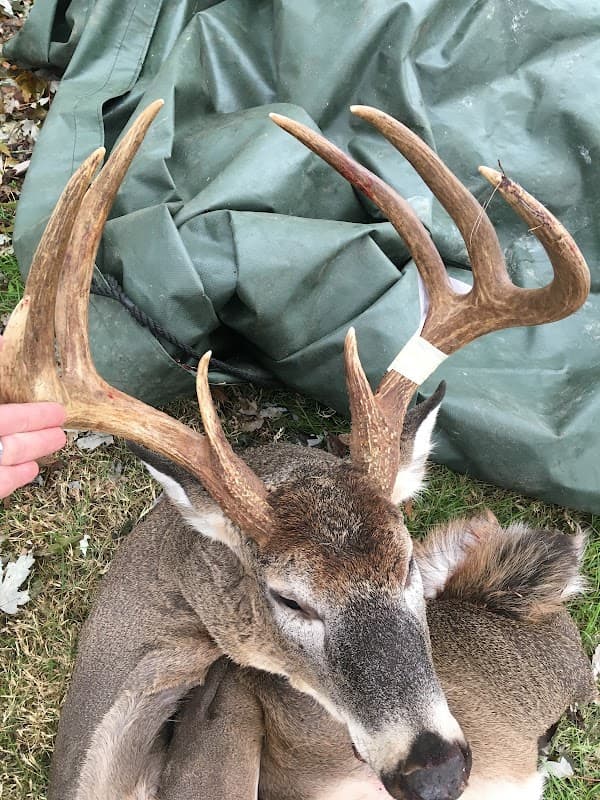 Chandlers Deer Processing