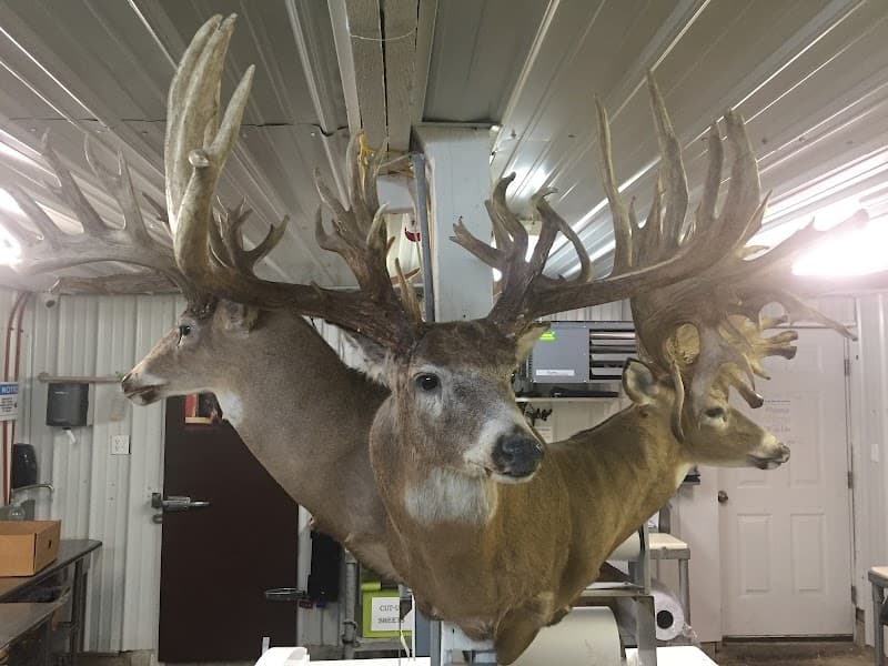 Holland's Deer Processing