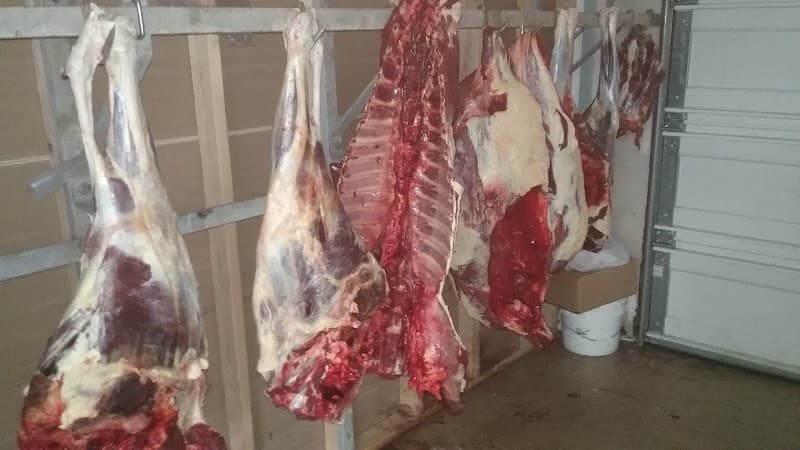 Jerry B's Deer Processing