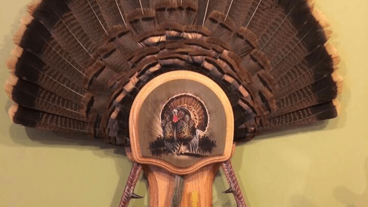 New Creations Taxidermy & Deer Processing